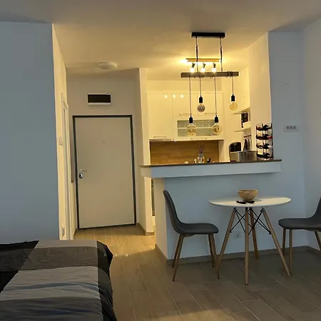 Apartment Savski Trg