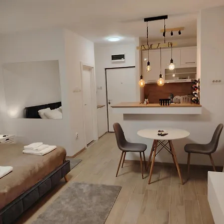 Apartment Savski Trg *